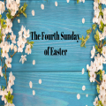 Sunday 11th May