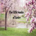 Sunday 18th May