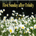Sunday 22nd June