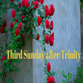 Sunday 6th July