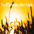 Sunday 7th September